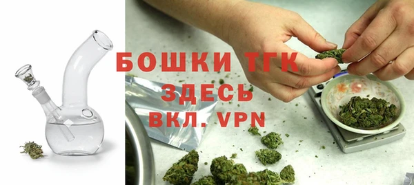 PSILOCYBIN Лабытнанги