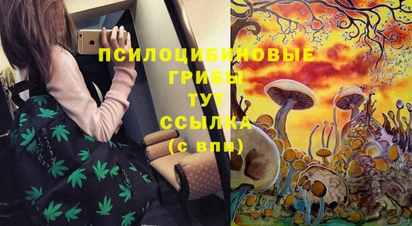 дмт Лагань