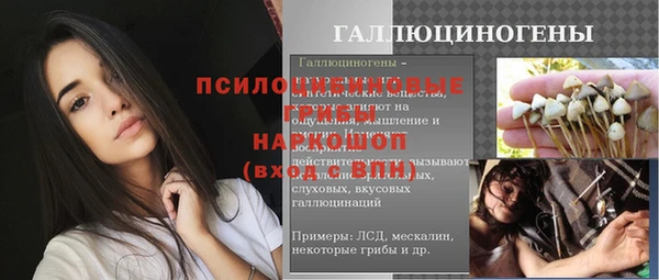 дмт Лагань