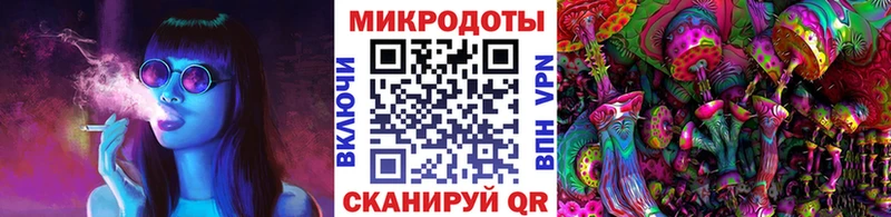 Галлюциногенные грибы Cubensis  Пятигорск 