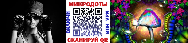 Псилоцибиновые грибы Cubensis Пятигорск