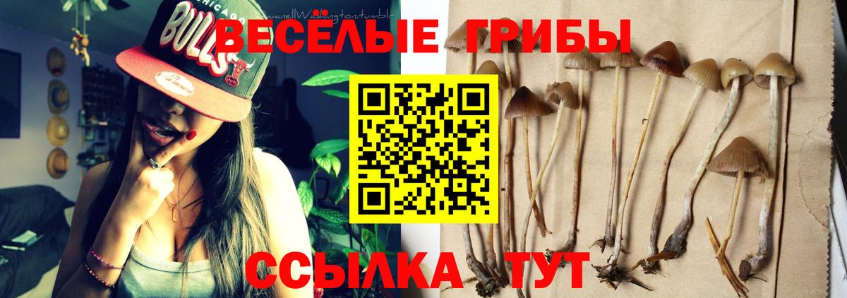 Псилоцибиновые грибы ЛСД  Псилоцибиновые грибы GOLDEN TEACHER  Пятигорск 