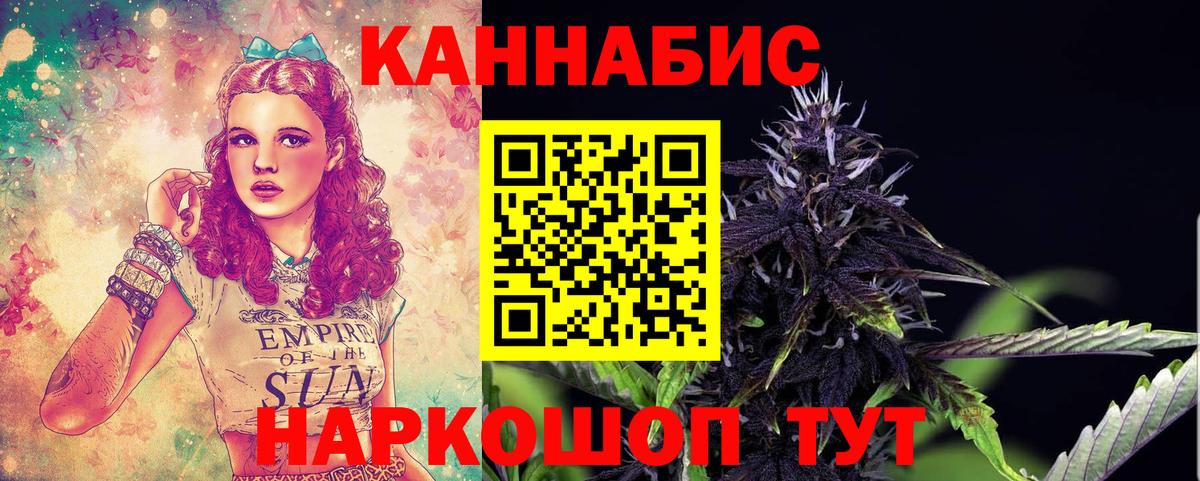 Канабис конопля Пятигорск